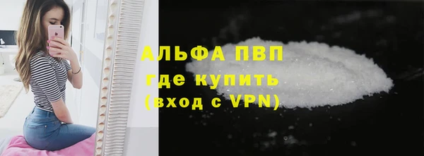 СК Алексин