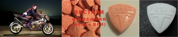 СК Алексин