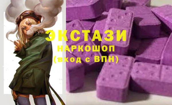 СК Алексин