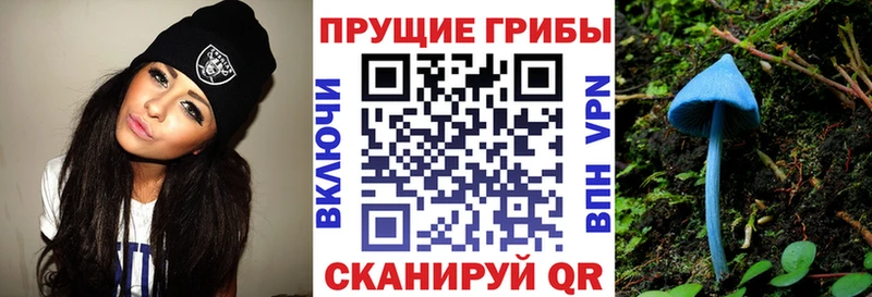 Галлюциногенные грибы ЛСД  Купить закладки  Кольчугино 